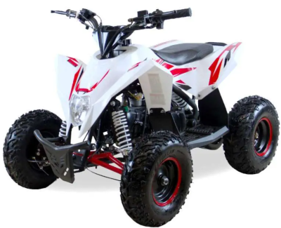 Комплект квадроцикла MOTAX GEKKON 90 cc реверс купить в #REGION_NAME_DECLINE_PP#