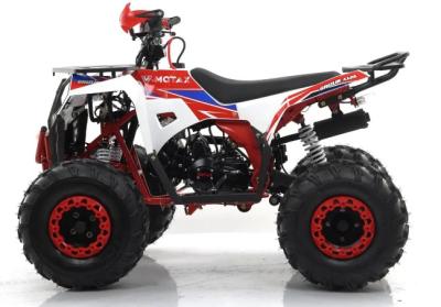 Квадроцикл MOTAX GRIZLIK A125 купить в #REGION_NAME_DECLINE_PP#