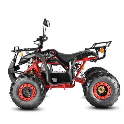 Электроквадроцикл White Siberia Sneg Pro R 3000W купить в Самаре