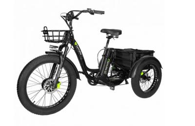 Электровелосипед Syccyba Trike 20Ah купить в Самаре