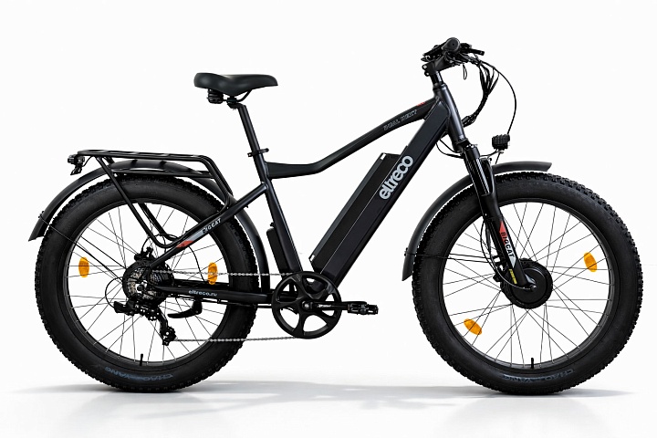Электровелосипед Eltreco BigCat Dual Next купить в Самаре