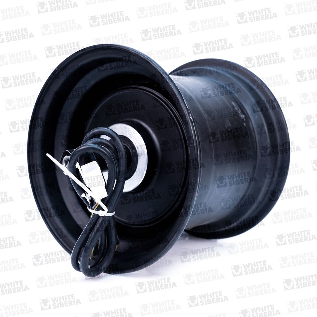 CITYCOCO Мотор колесо 2000W 8 дюйм (2WD) , Ширина магнита 60мм купить в Самаре