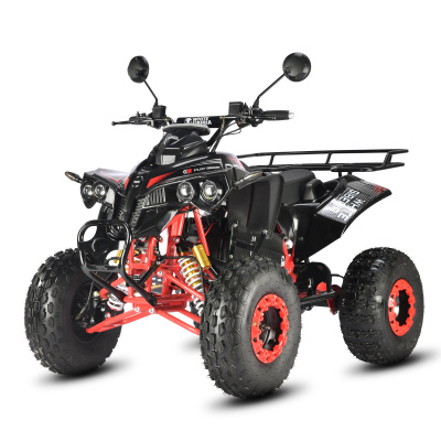 Электроквадроцикл White Siberia Sneg Pro R 3000W купить в Самаре