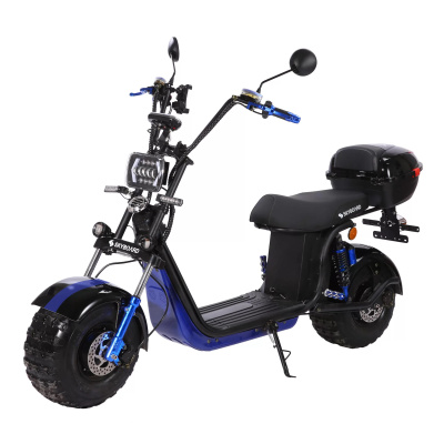 Электроскутер Skyboard BR20-2WD Pro Fast Off-Road купить в Самаре