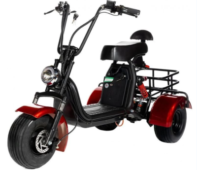 Трёхколёсный электроскутер CityCoco Trike GT X5 Mini купить в Самаре