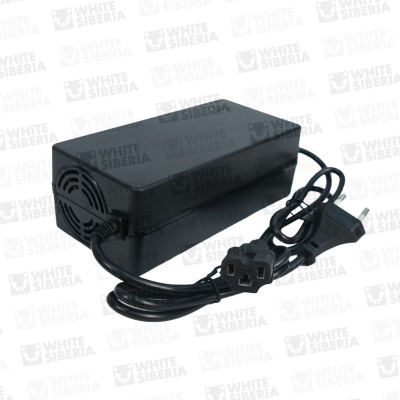 Зарядное устройство Sneg Pro 60V20Ah купить в Самаре