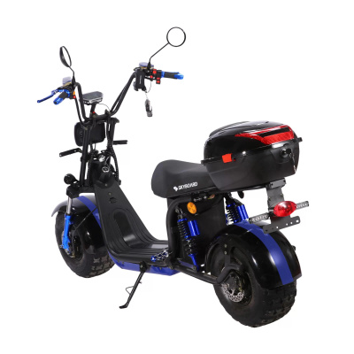 Электроскутер Skyboard BR20-2WD Pro Fast Off-Road купить в Самаре