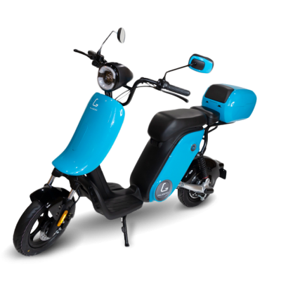 Электроскутер Kugoo King Jilong 1000W/17Ah купить в Самаре