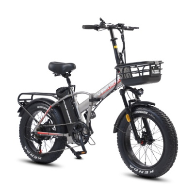 Электровелосипед White Siberia Slav Pro Серый купить в Самаре