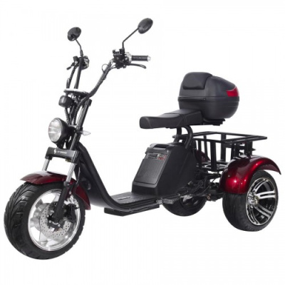 Электроскутер СitiCoco SkyBoarD BR80 Trike купить в Самаре