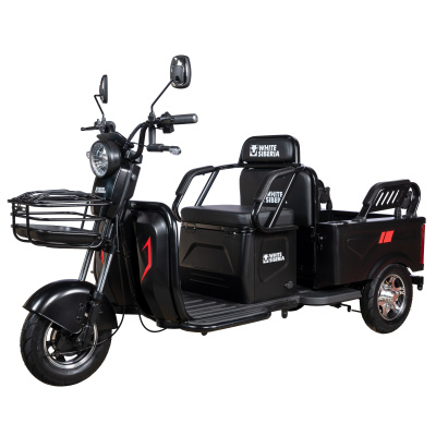 Электротрицикл White Siberia Sibtrike Max 2000W купить в Самаре