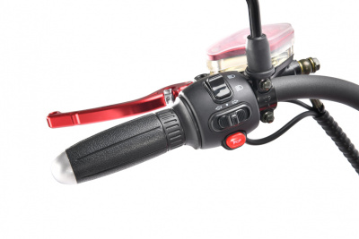 Электроскутер Citycoco White Siberia Wild Wheel купить в Самаре