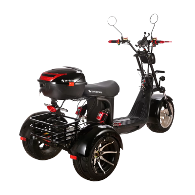 Электробайк Skyboard BR60-3000 Pro Fast купить в Самаре