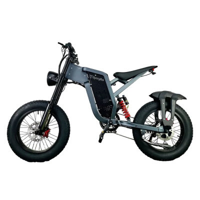 Электровелосипед Syccyba Impulse Pro (X21) 35 Ah Спицы купить в Самаре