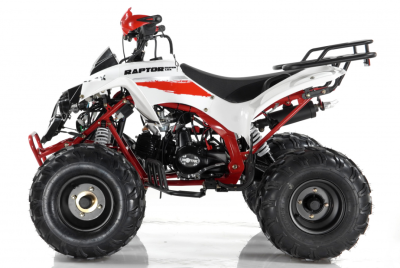 Motax ATV Raptor Super LUX 125 купить в Самаре