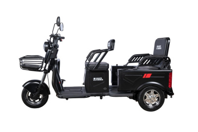Электротрицикл White Siberia Sibtrike Max 2000W купить в Самаре