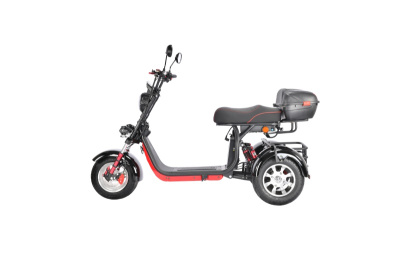 Электроскутер CityCoco White Siberia Pro Trike купить в #REGION_NAME_DECLINE_PP#