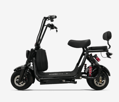 Электроскутер MINIPRO mi716 800W 16Ah 48V купить в Самаре