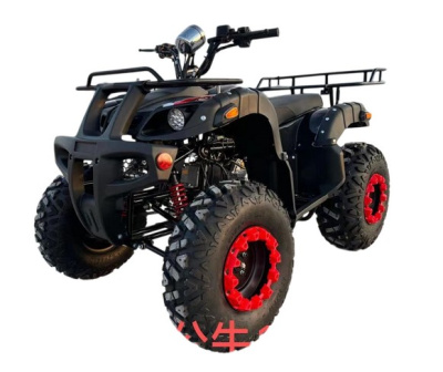 Электроквадроцикл Ikingi K10 купить в Самаре