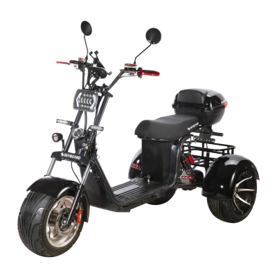 Электробайк Skyboard BR60-3000 Pro Fast купить в Самаре