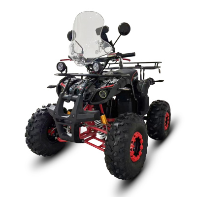 Электроквадроцикл White Siberia Sneg Pro 3000W 2026 купить в Самаре