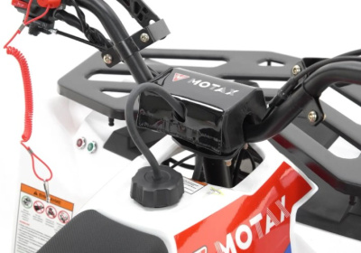 Квадроцикл MOTAX GRIZLIK A125 купить в #REGION_NAME_DECLINE_PP#