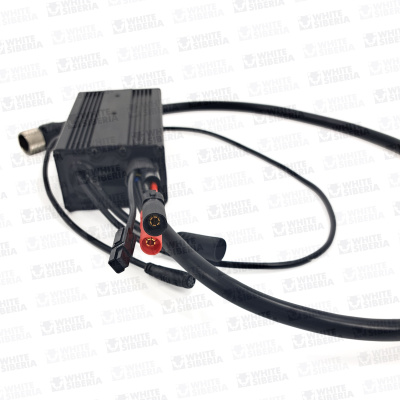 Контроллер задний WS Teverun Baikal купить в #REGION_NAME_DECLINE_PP#