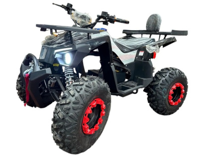 Электроквадроцикл Ikingi 225 купить в Самаре