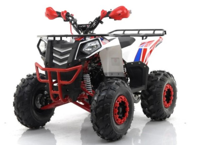 Квадроцикл MOTAX GRIZLIK A125 купить в #REGION_NAME_DECLINE_PP#