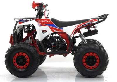 Квадроцикл MOTAX GRIZLIK A125 купить в #REGION_NAME_DECLINE_PP#